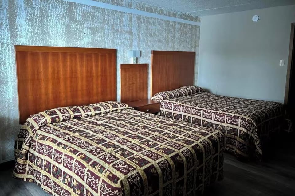 Unwind in a bright, spacious room with cozy beds.
