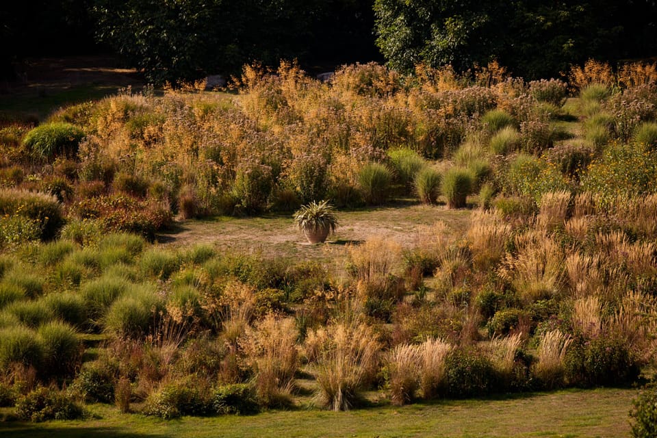 The Miz Maze at Mount Ephraim