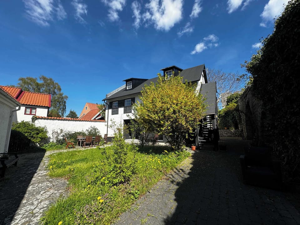 View of the sun-kissed shared yard.