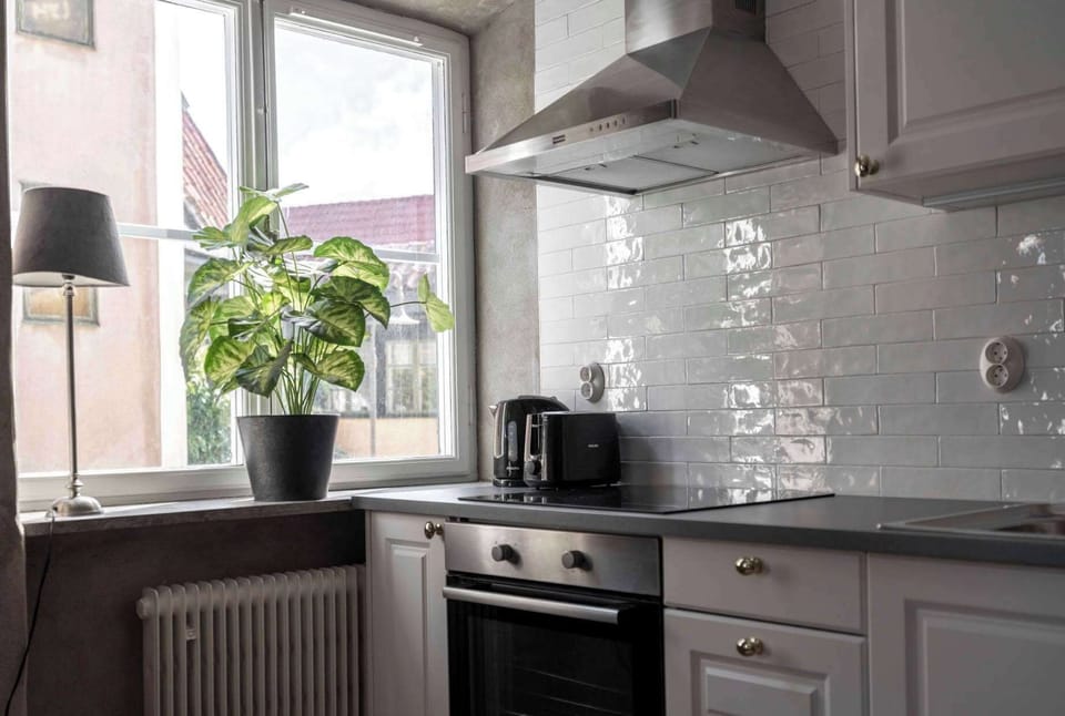 View of the kitchen and the window.