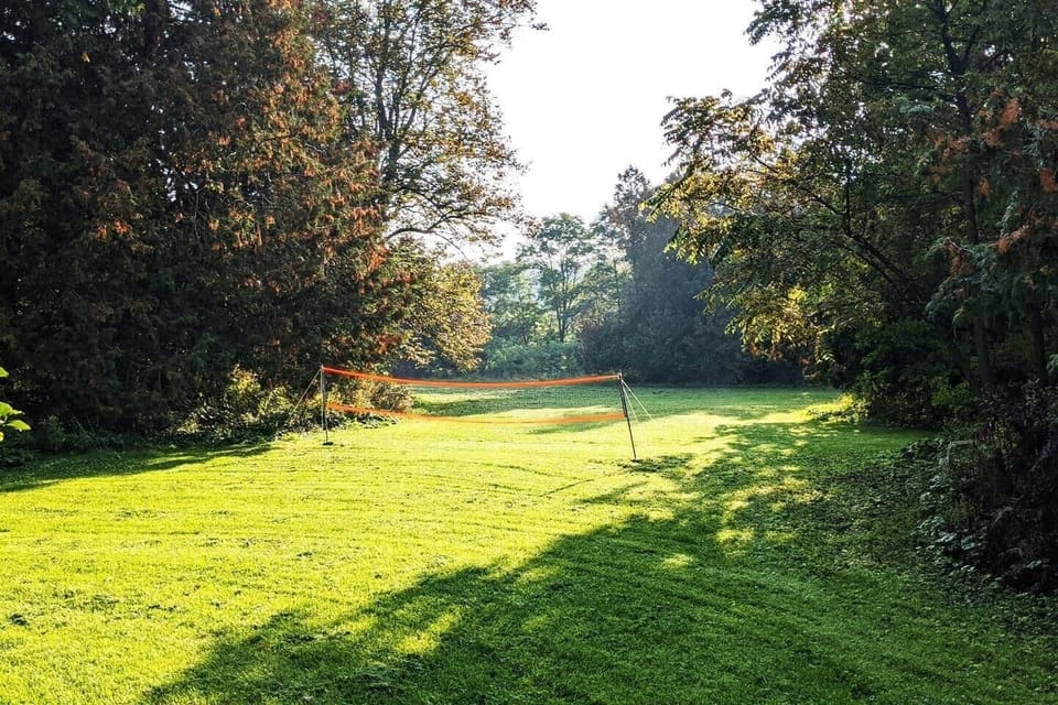Back Yard Foeld 