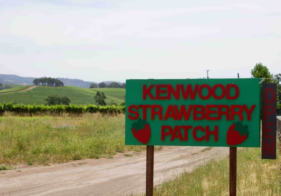 Enjoy a taste of local charm with nearby farms and seasonal strawberry picking—simple pleasures and fresh finds just minutes away.
