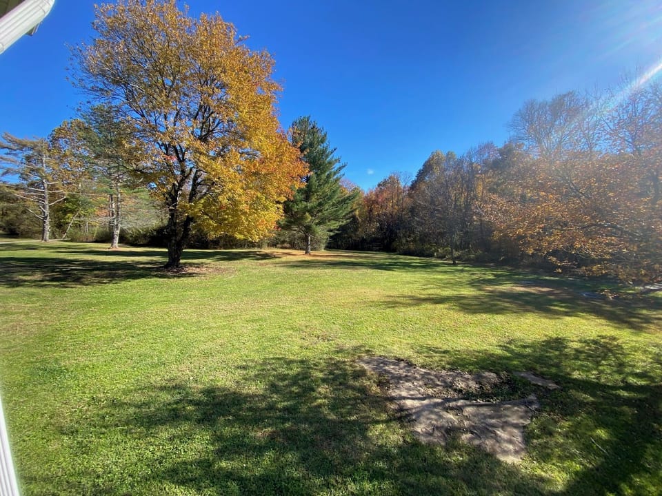 View from front porch- plenty of room for kids to run and play