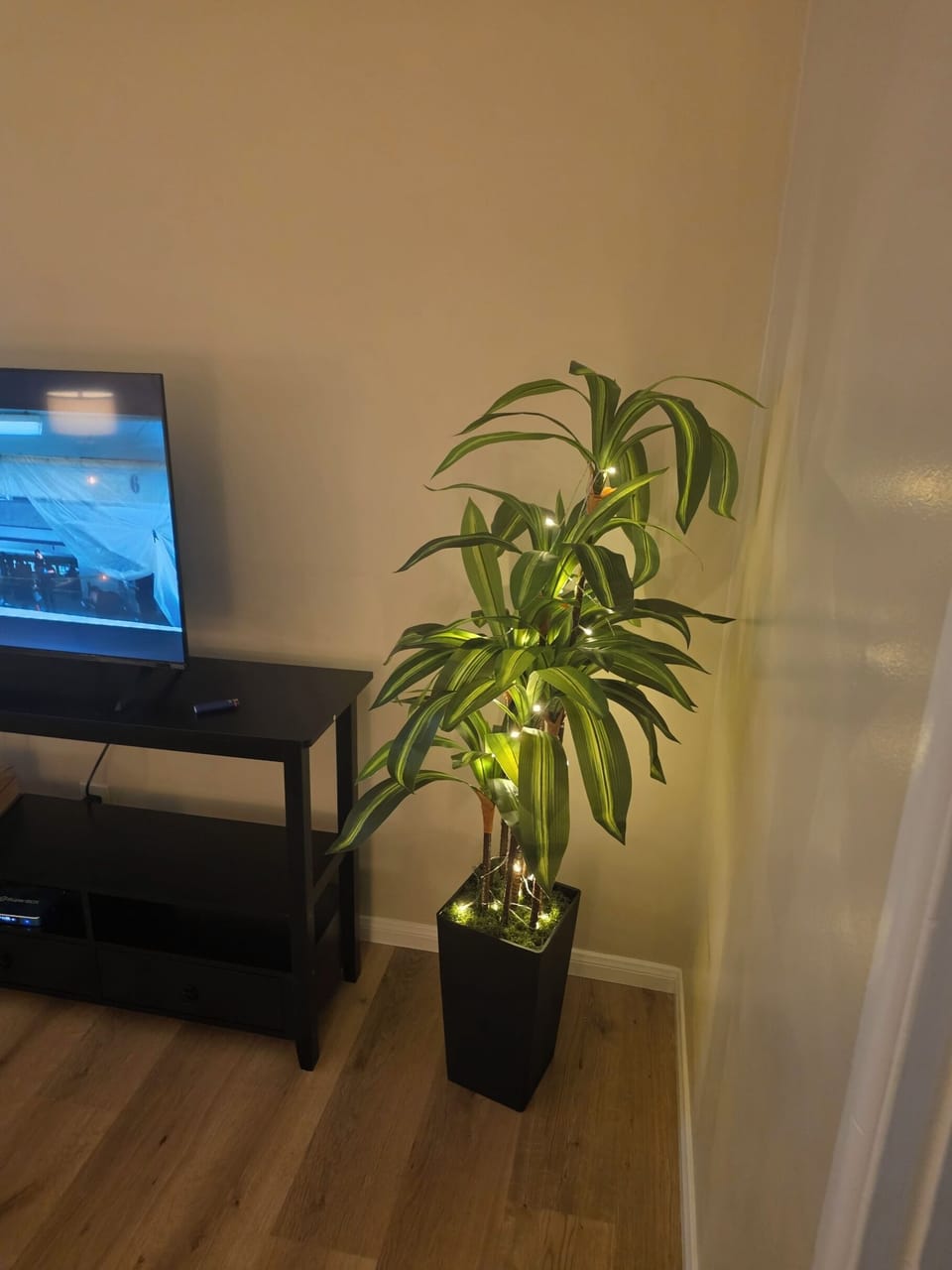 T & planter