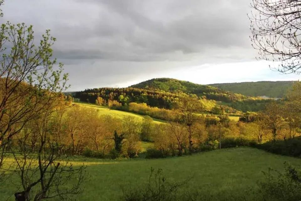 Mountain view