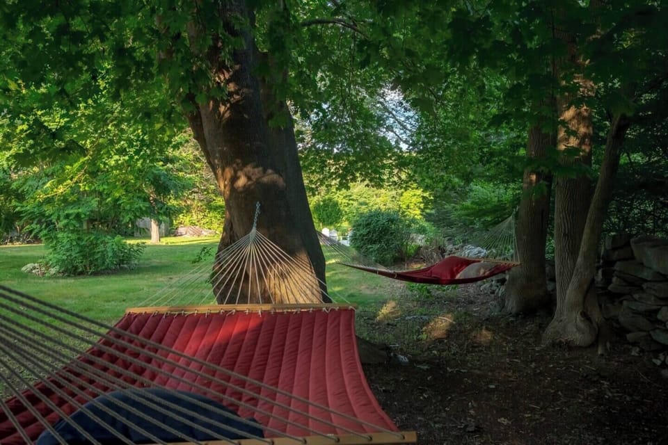 Hammocks hung under the shade of the maple trees Spring through Fall.