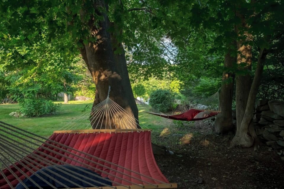 Hammocks hung under the shade of the maple trees Spring through Fall.