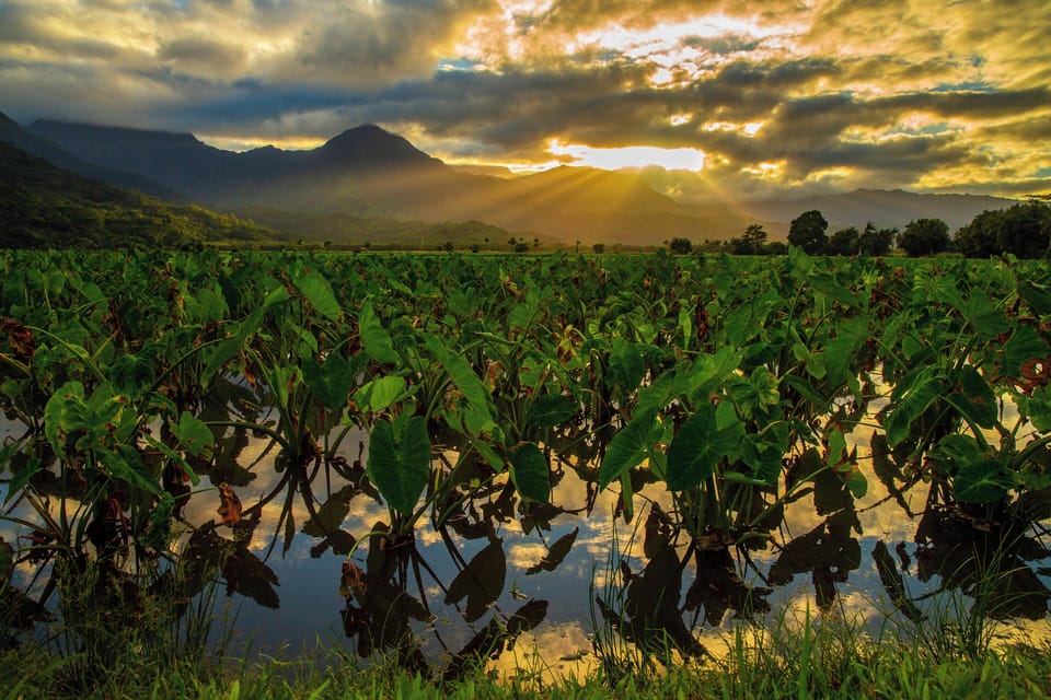 Sunset illuminates lush tropical agricultural fields surrounded by majestic mountain peaks in this stunning natural landscape.