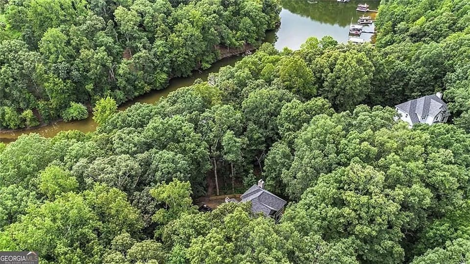 View of Roof overlooking Lake Lanier