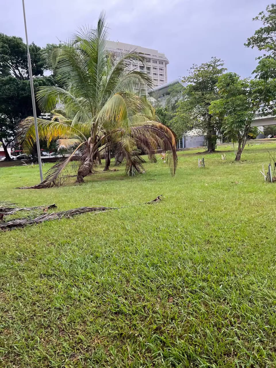 Property grounds