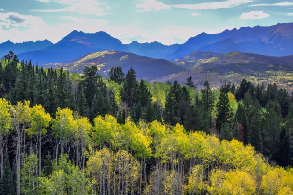 Beautiful Colors With Changing Of The Aspen