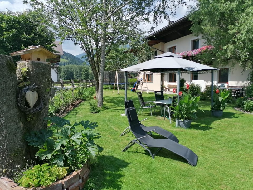 Garden [summer]