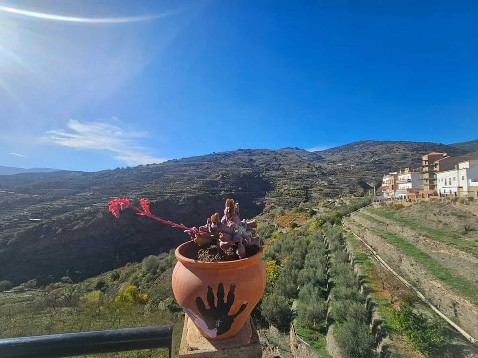 Mountain view