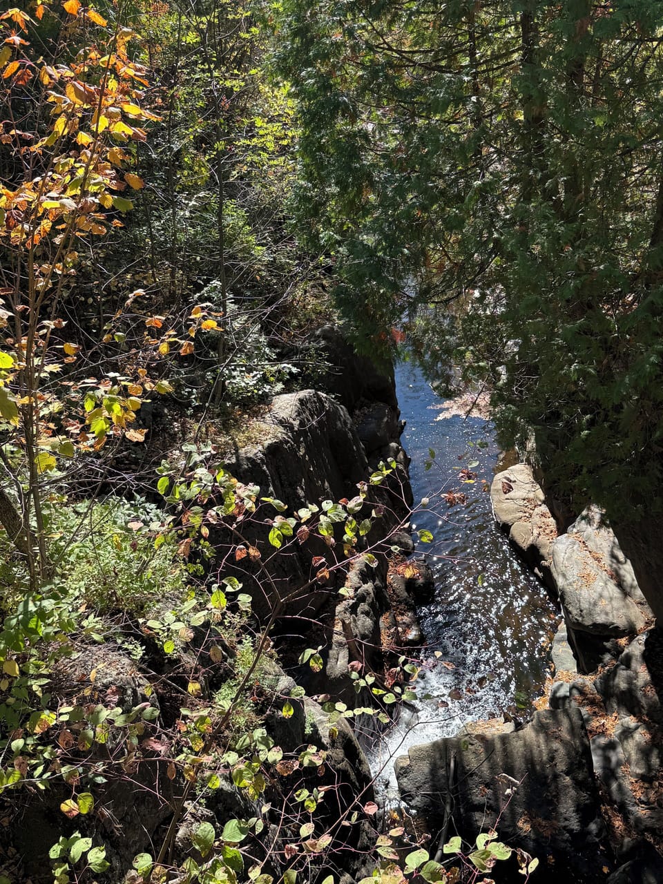Waterfall at Lincoln Park.