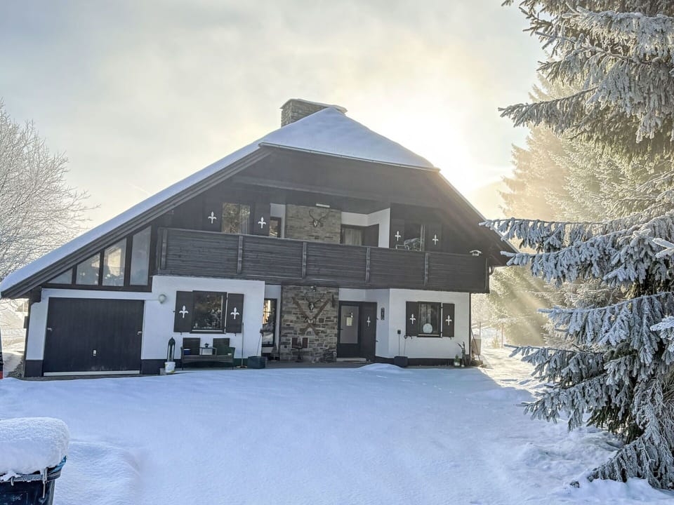 Snow, House, Home, Cottage, Winter, Roof, Freezing, Slope, Siding, Larch
