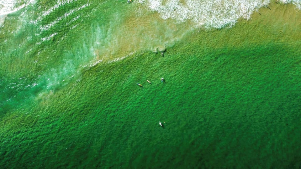 Drone photo of Curl Curl Beach