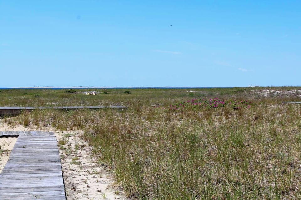 Follow the sandy path to the Cape Cod Bay beach