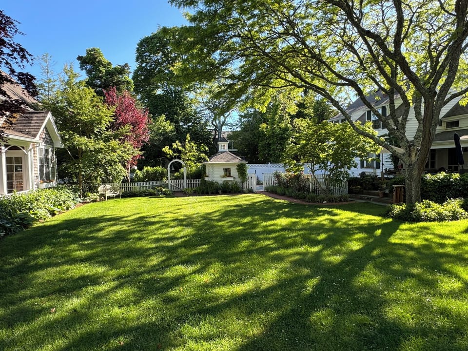 View of the backyard. 