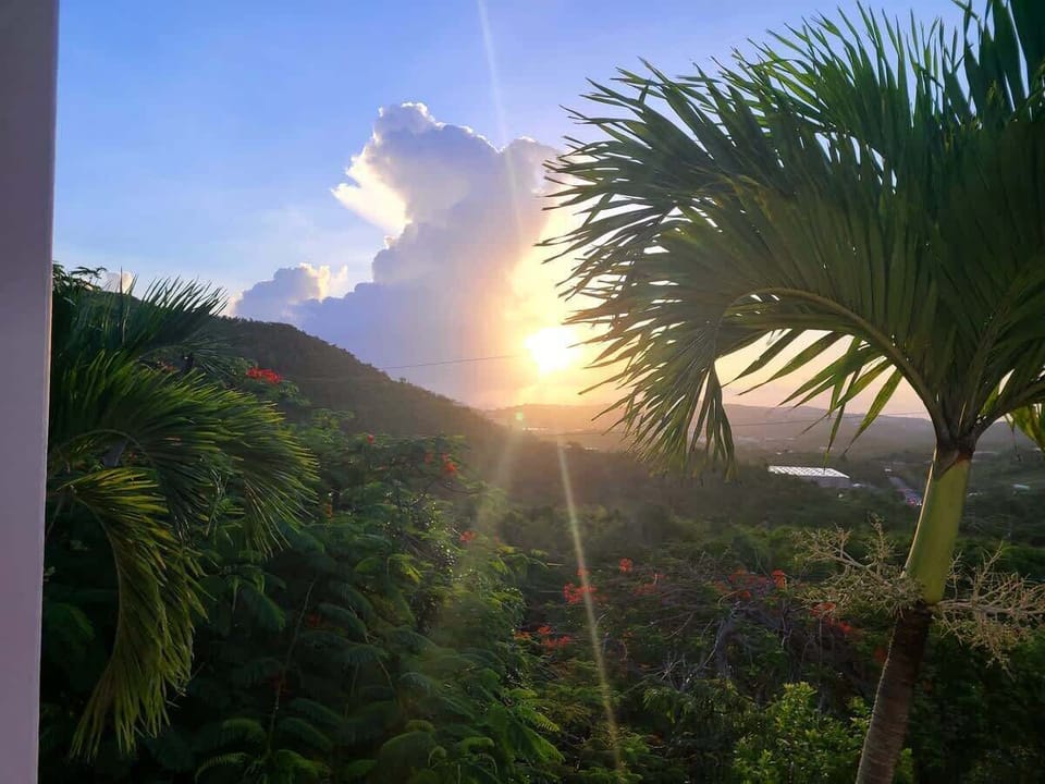 View from property