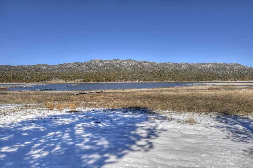 Back Yard on the Lake