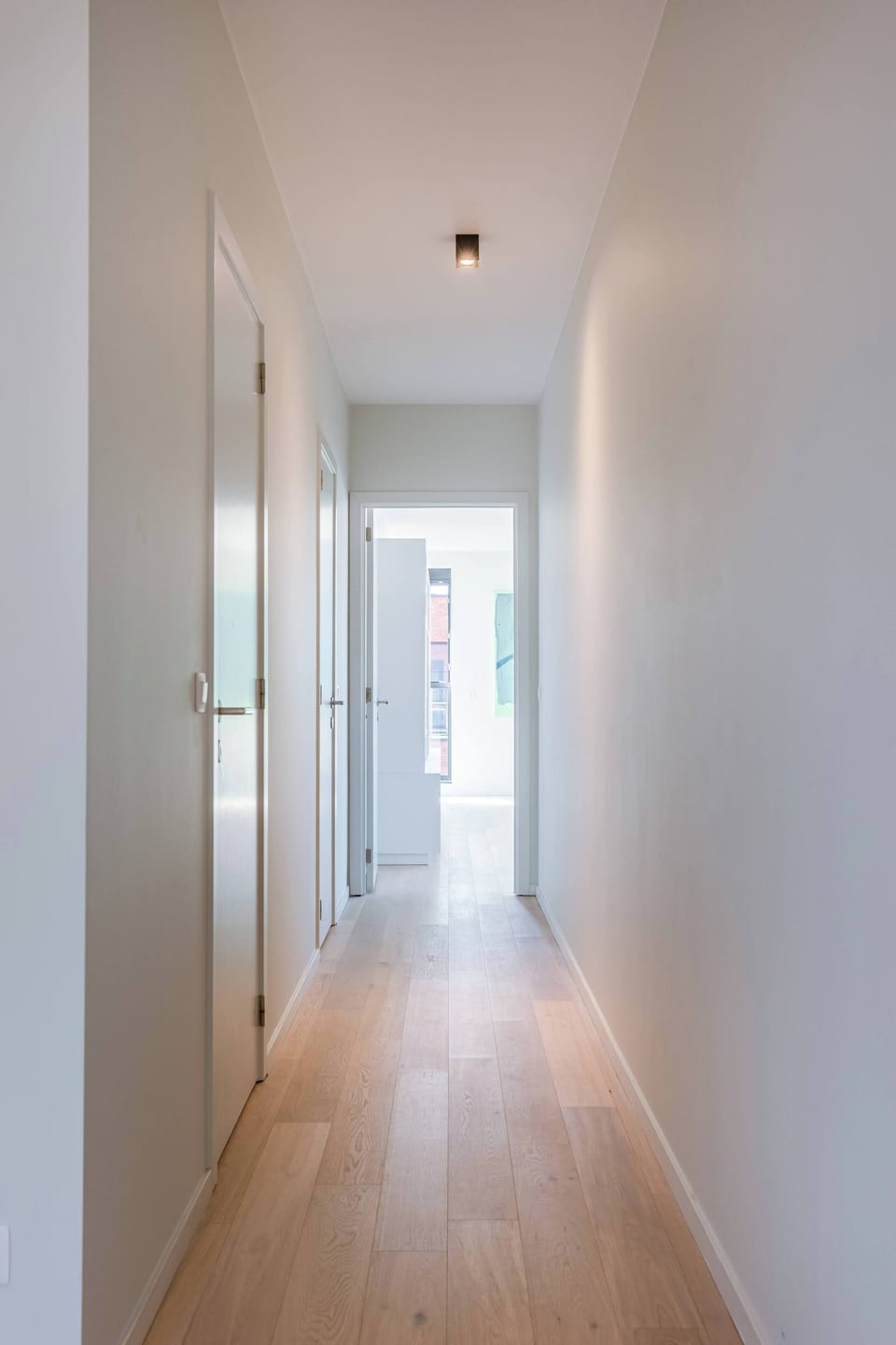 Bright hallway leading to the sleeping area.