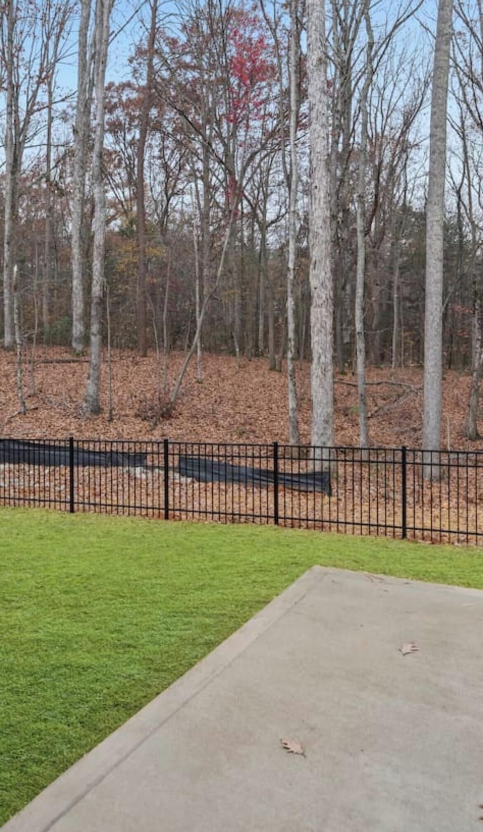 Property grounds