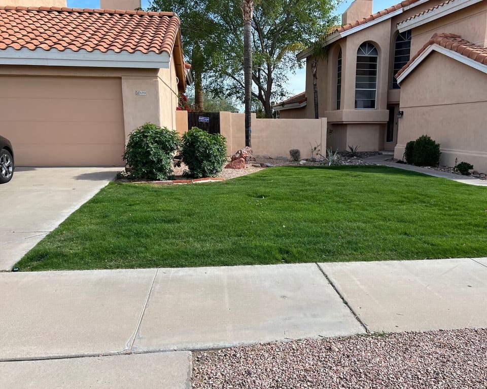 side yard