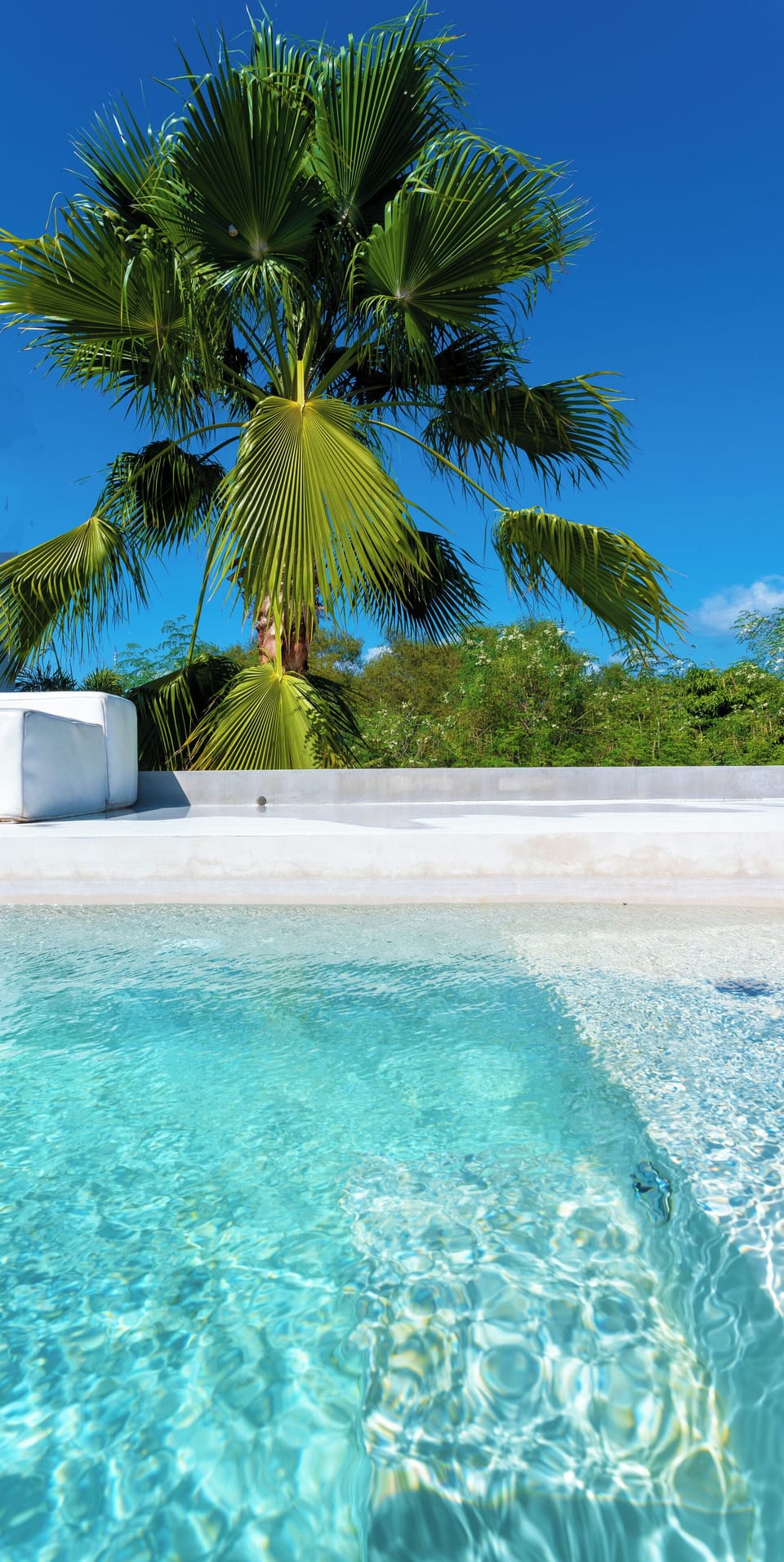  "Casa Sana was the cornerstone for an amazing vacation!!!"