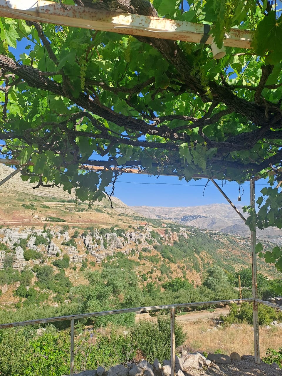 View from property