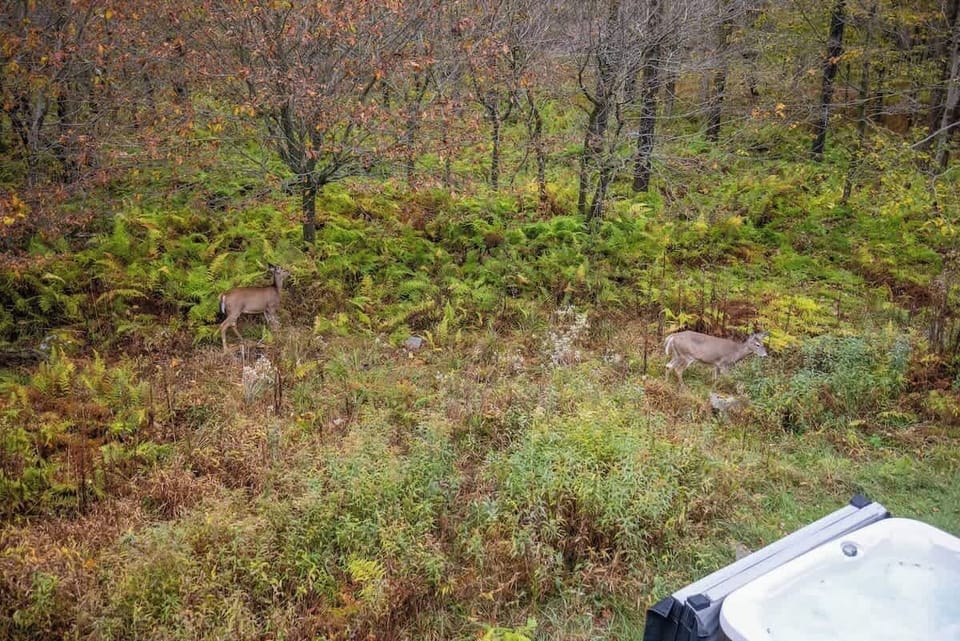 Relax in the hot tub while enjoying serene deer sightings and stunning views!