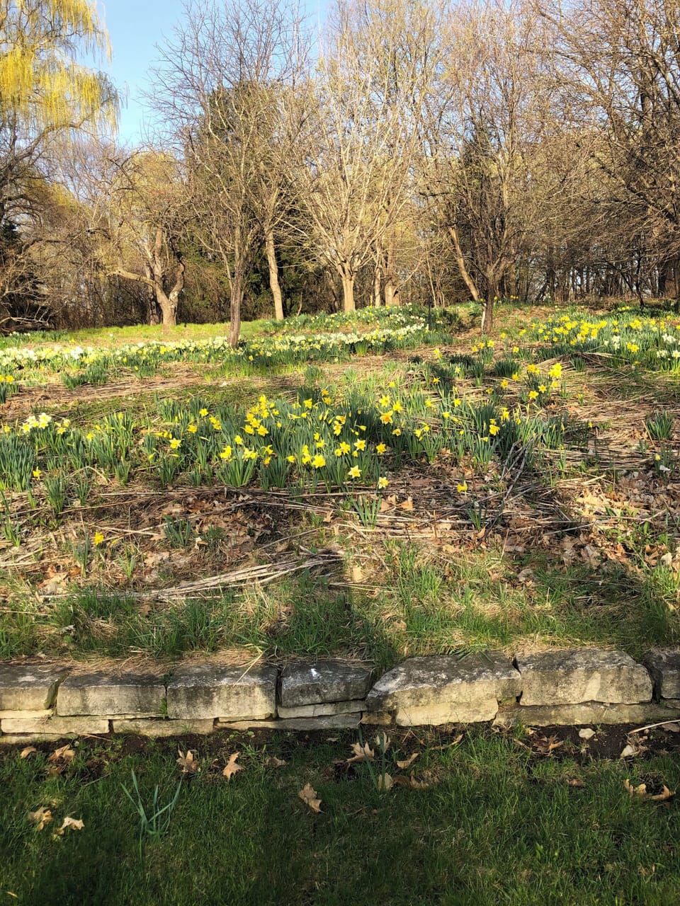 Some of the green space surrounding the property - you are welcome to enjoy all