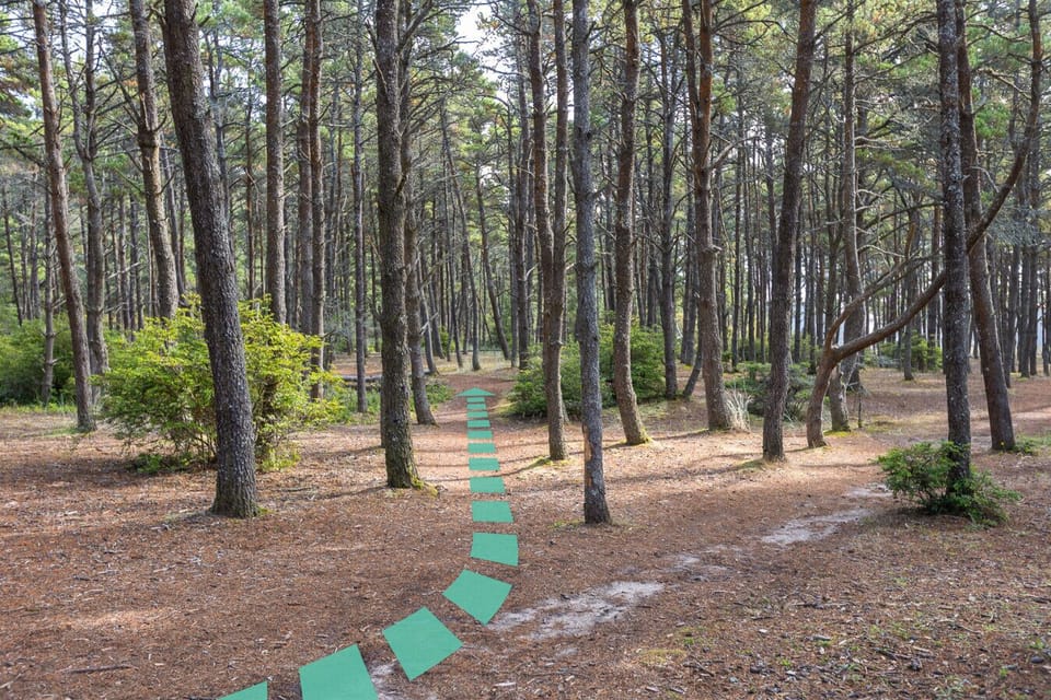 Trailhead Behind Home