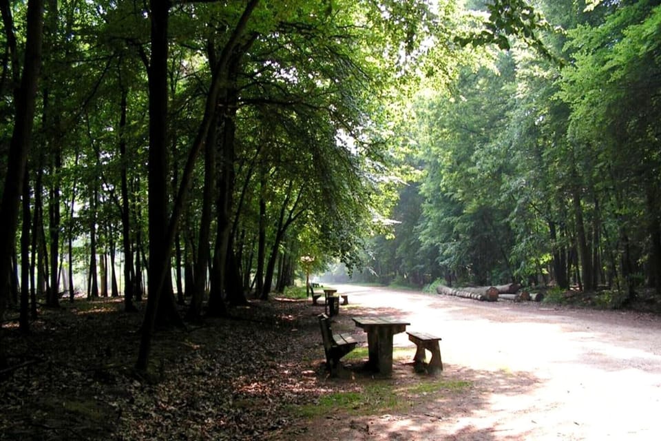 Surroundings [summer] (1-5 km)