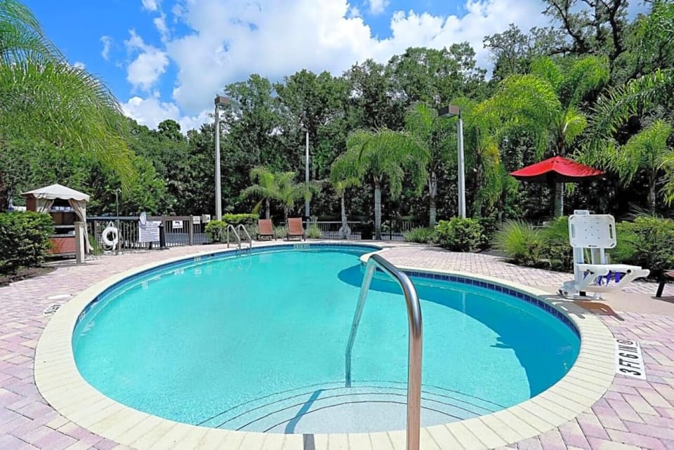 Dive into sparkling blue waters surrounded by swaying palms.