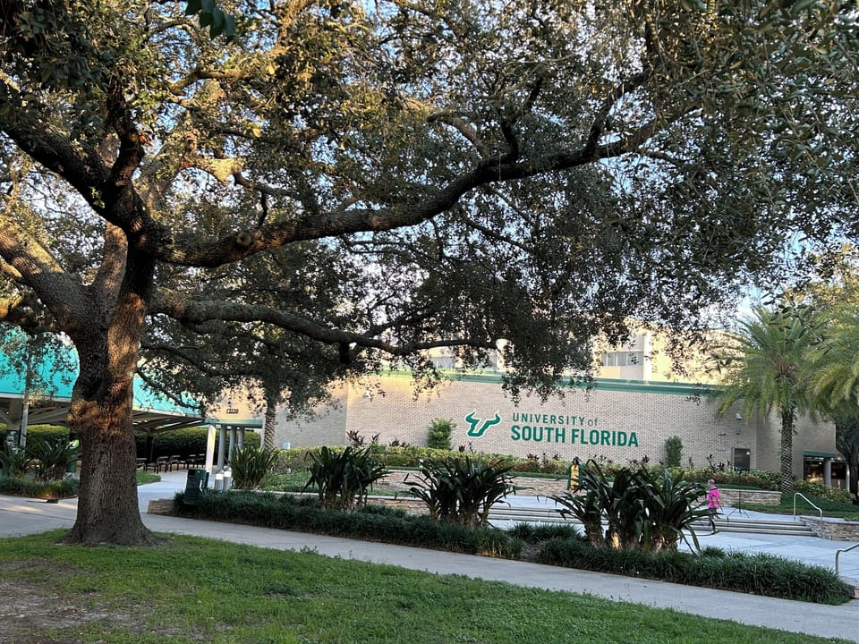 University of South Florida, Tampa, Fla.