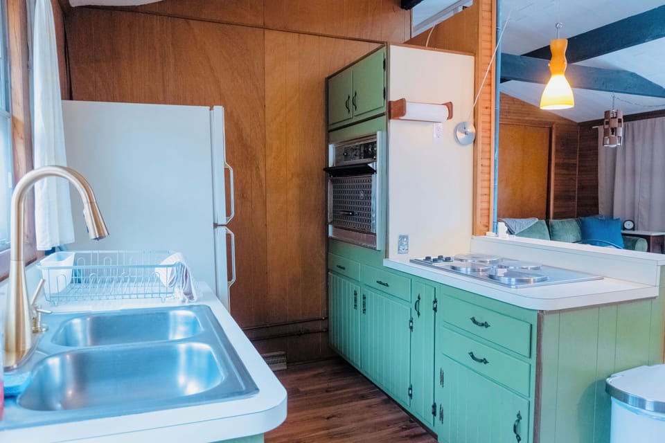 Retro kitchen with green cabinets, modern sink, and cozy cabin style