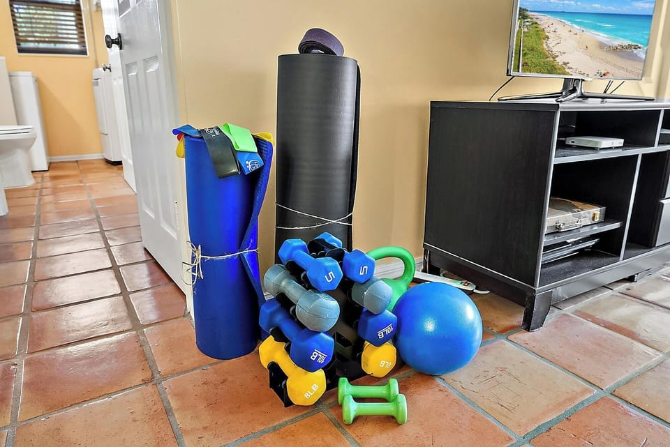 Selection of weights (up to 20 lbs.), exercise equipment.