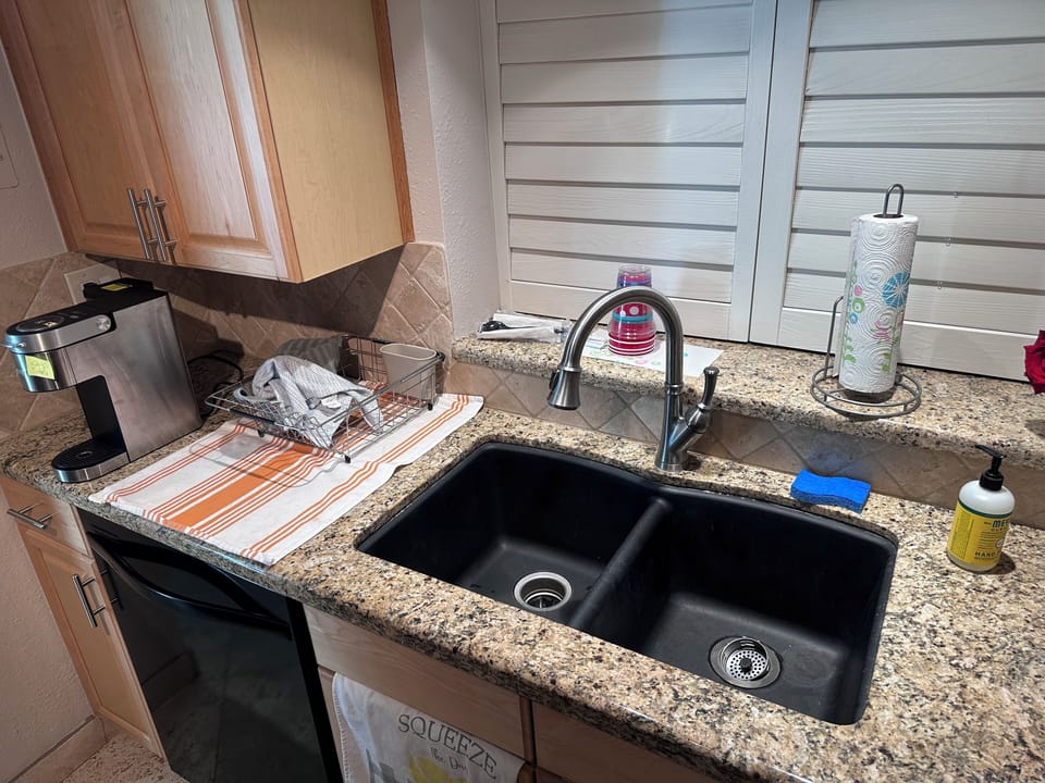Sink, disposal and dish washer 
