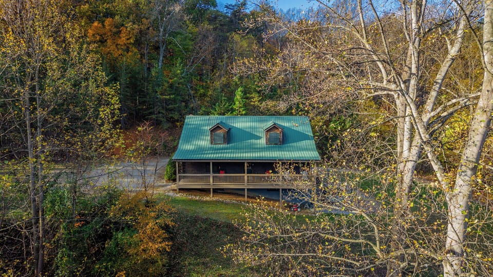 Cozy cabin in the woods