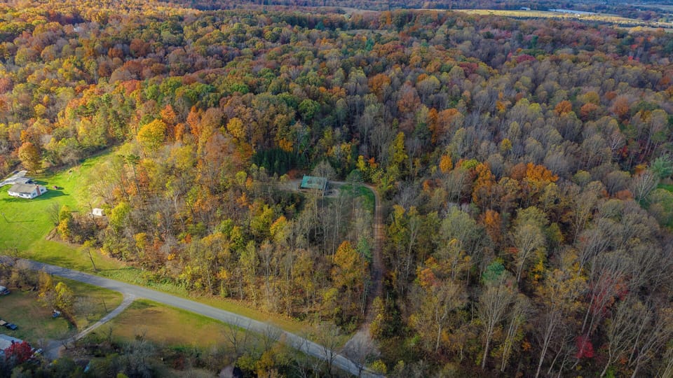 Hill leading up to the cabin