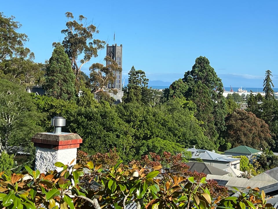 From living room looking toward Nelson Catherdral and Abel Head