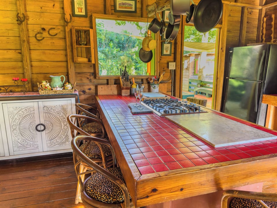 Kitchen with large counter