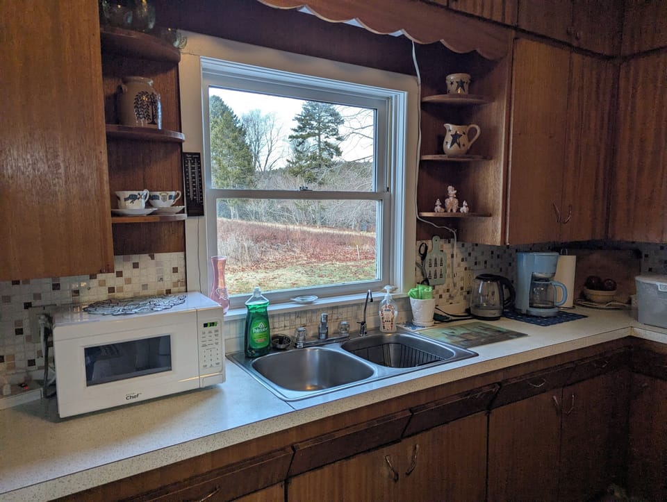 The spacious kitchen with a great view of the back yard at the kitchen sink.