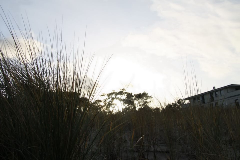 Miscellaneous