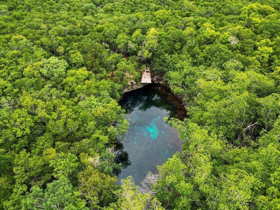 Visit Cenote Xunaan-Ha: only a 15-20 minute walk or a 5-minute drive from Casa Nube 18