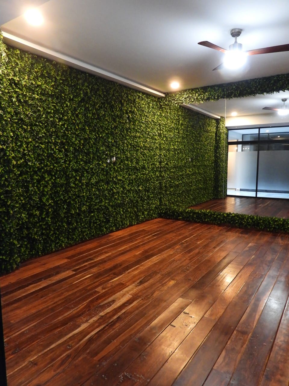 Yoga studio free