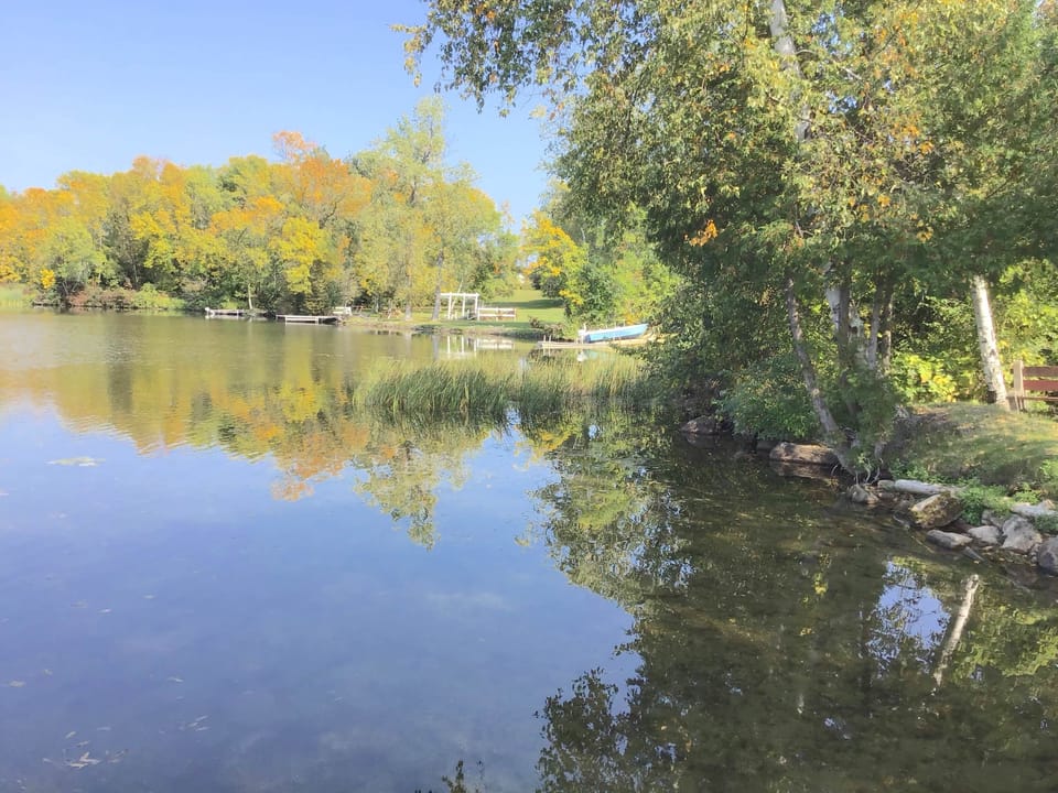 Miscellaneous