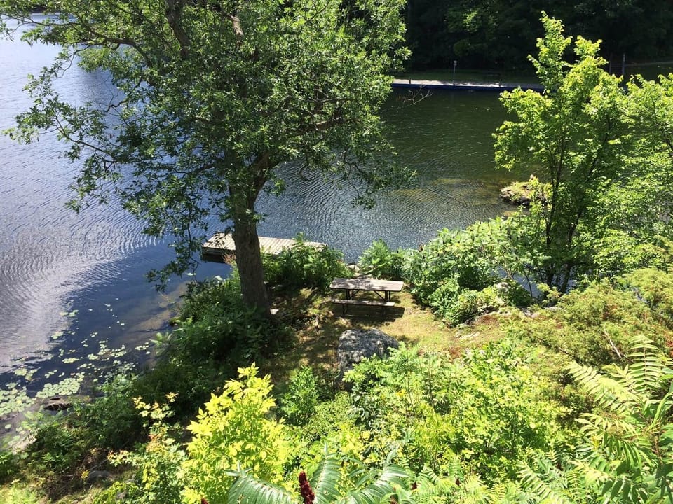 Shoreline from the Deck