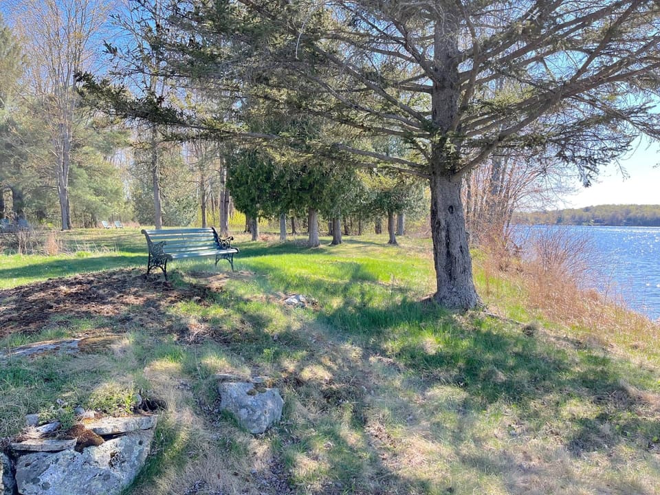 Bench