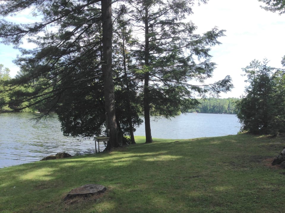 Opinicon Lake